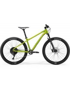 BIG SEVEN 600