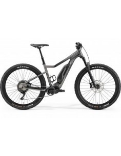 E BIG TRAIL 800